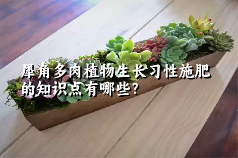 犀角多肉植物生长习性施肥的知识点有哪些？	