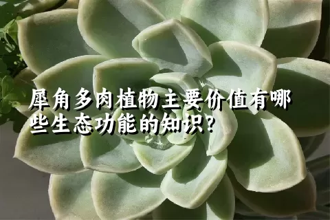 犀角多肉植物主要价值有哪些生态功能的知识？