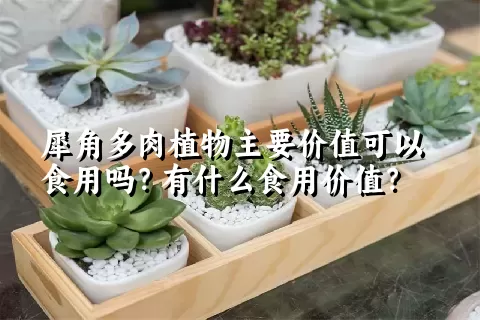 犀角多肉植物主要价值可以食用吗？有什么食用价值？