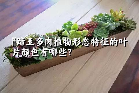 擬蹄玉多肉植物形态特征的叶片颜色有哪些？