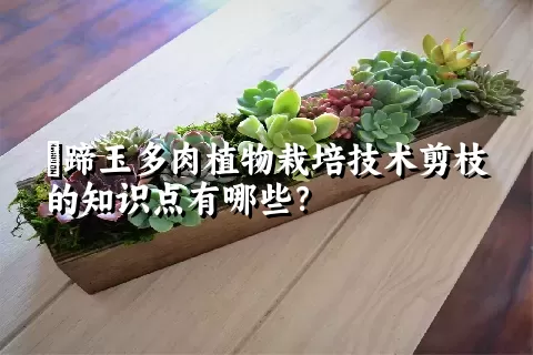 擬蹄玉多肉植物栽培技术剪枝的知识点有哪些？