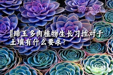 擬蹄玉多肉植物生长习性对于土壤有什么要求？	