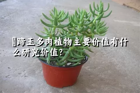 擬蹄玉多肉植物主要价值有什么研究价值？