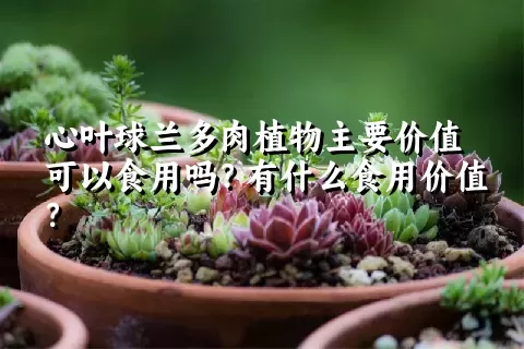 心叶球兰多肉植物主要价值可以食用吗？有什么食用价值？