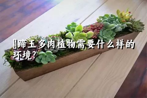 擬蹄玉多肉植物需要什么样的环境?