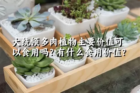 大统领多肉植物主要价值可以食用吗？有什么食用价值？