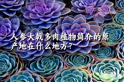 人参大戟多肉植物简介的原产地在什么地方？