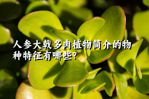 人参大戟多肉植物简介的物种特征有哪些？