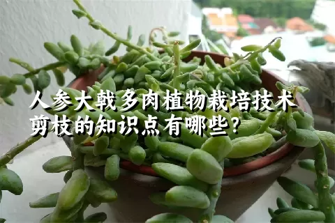 人参大戟多肉植物栽培技术剪枝的知识点有哪些？