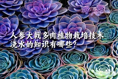 人参大戟多肉植物栽培技术浇水的知识有哪些？