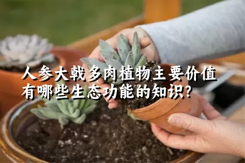 人参大戟多肉植物主要价值有哪些生态功能的知识？