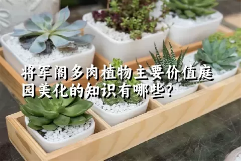 将军阁多肉植物主要价值庭园美化的知识有哪些？