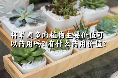 将军阁多肉植物主要价值可以药用吗？有什么药用价值？