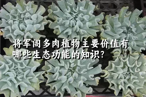 将军阁多肉植物主要价值有哪些生态功能的知识？