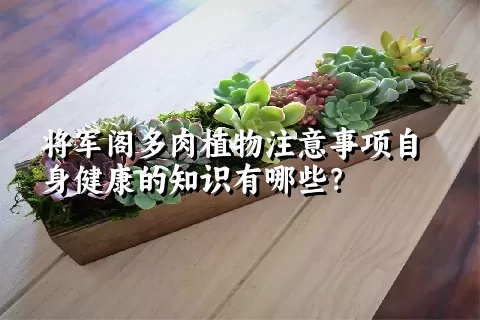 将军阁多肉植物注意事项自身健康的知识有哪些？