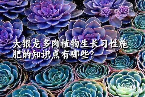 大银龙多肉植物生长习性施肥的知识点有哪些？	