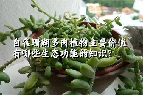 白雀珊瑚多肉植物主要价值有哪些生态功能的知识？