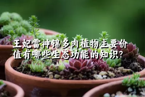 王妃雷神锦多肉植物主要价值有哪些生态功能的知识？