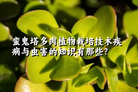 蛮鬼塔多肉植物栽培技术疾病与虫害的知识有那些？ 