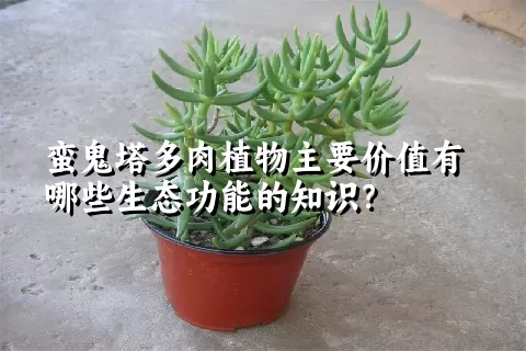 蛮鬼塔多肉植物主要价值有哪些生态功能的知识？