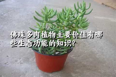 佛珠多肉植物主要价值有哪些生态功能的知识？