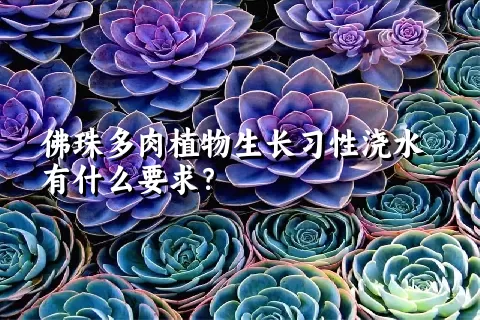 佛珠多肉植物生长习性浇水有什么要求？	