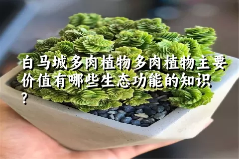 白马城多肉植物主要价值有哪些生态功能的知识？