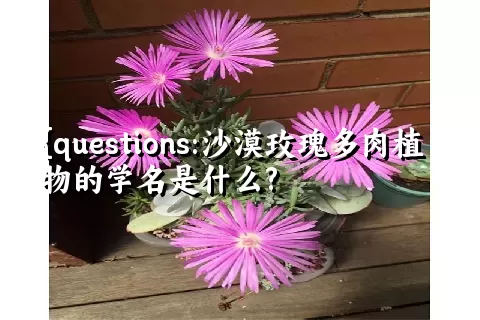 沙漠玫瑰多肉植物的学名是什么?