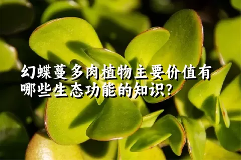 幻蝶蔓多肉植物主要价值有哪些生态功能的知识？