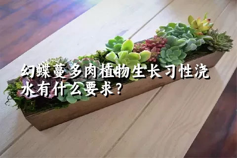 幻蝶蔓多肉植物生长习性浇水有什么要求？	