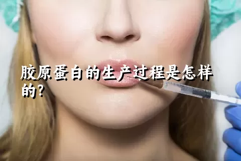 胶原蛋白的生产过程是怎样的？