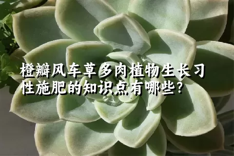 橙瓣风车草多肉植物生长习性施肥的知识点有哪些？	