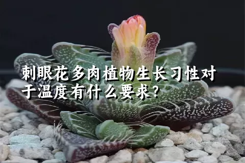 刺眼花多肉植物生长习性对于温度有什么要求？