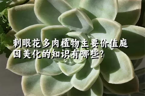 刺眼花多肉植物主要价值庭园美化的知识有哪些？