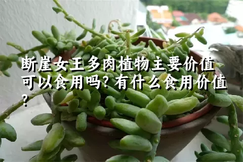 断崖女王多肉植物主要价值可以食用吗？有什么食用价值？