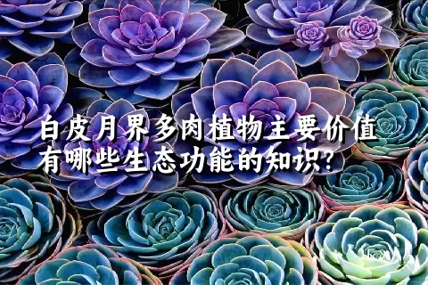 白皮月界多肉植物主要价值有哪些生态功能的知识？