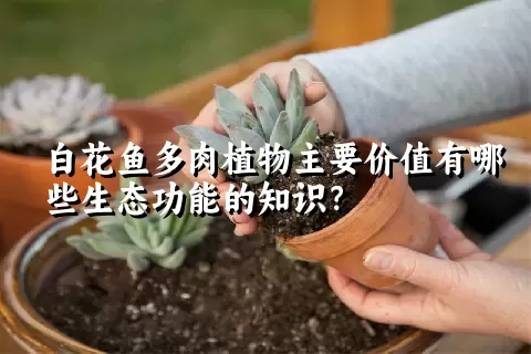 白花鱼多肉植物主要价值有哪些生态功能的知识？