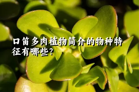 口笛多肉植物简介的物种特征有哪些？