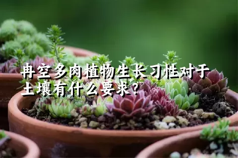 冉空多肉植物生长习性对于土壤有什么要求？	