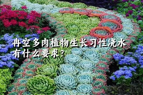 冉空多肉植物生长习性浇水有什么要求？	