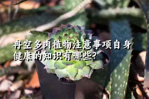 冉空多肉植物注意事项自身健康的知识有哪些？