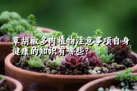 草胡椒多肉植物注意事项自身健康的知识有哪些？