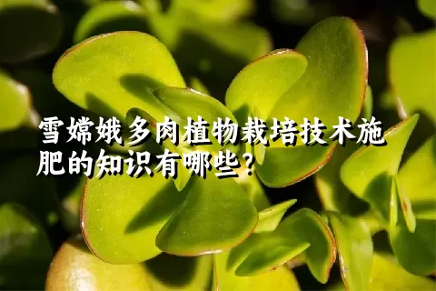 雪嫦娥多肉植物栽培技术施肥的知识有哪些？ 