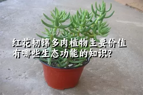 红花韧锦多肉植物主要价值有哪些生态功能的知识？