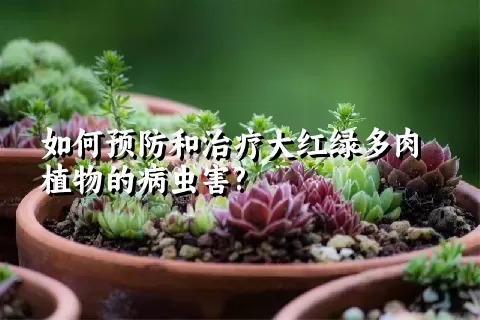 如何预防和治疗大红绿多肉植物的病虫害?