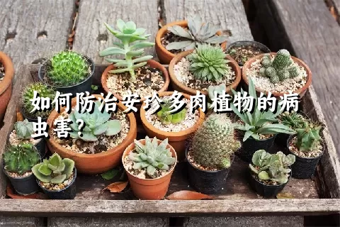 如何防治安珍多肉植物的病虫害？