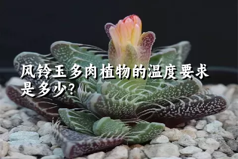 风铃玉多肉植物的温度要求是多少？