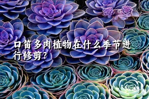 口笛多肉植物在什么季节进行修剪？