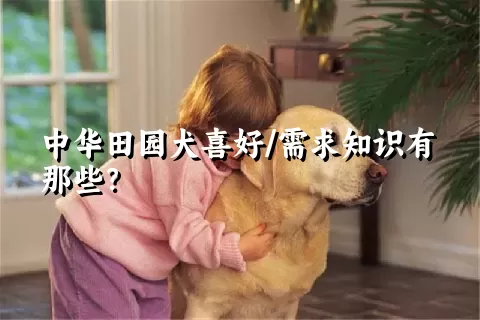 中华田园犬喜好/需求知识有那些？