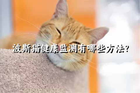 波斯猫健康监测有哪些方法？